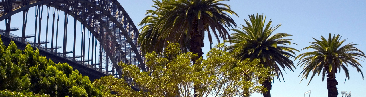 【在线版】即用的ddos网页端源码