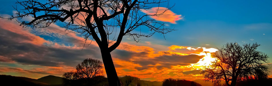 免费ddos压力测试平台