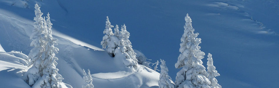 网页攻击器教程