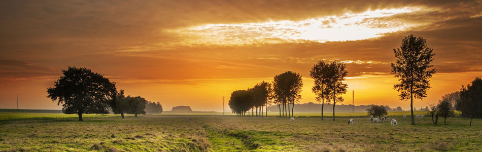 自动化运维的ddos测压网站