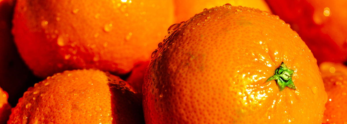 手机攻击器APP下载