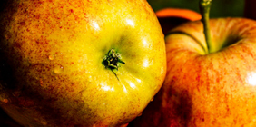 网络ddos监测分析工具